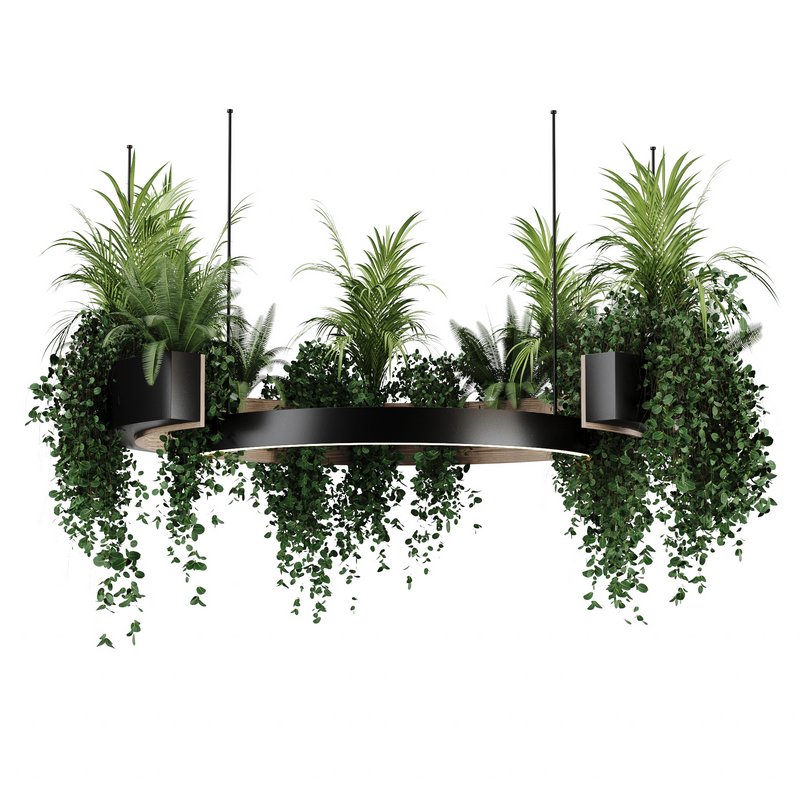 Indoorplants-Hanging plants set-83 - Image 1