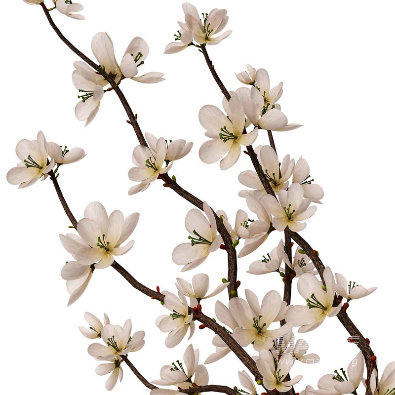 pottery vases - Image 3