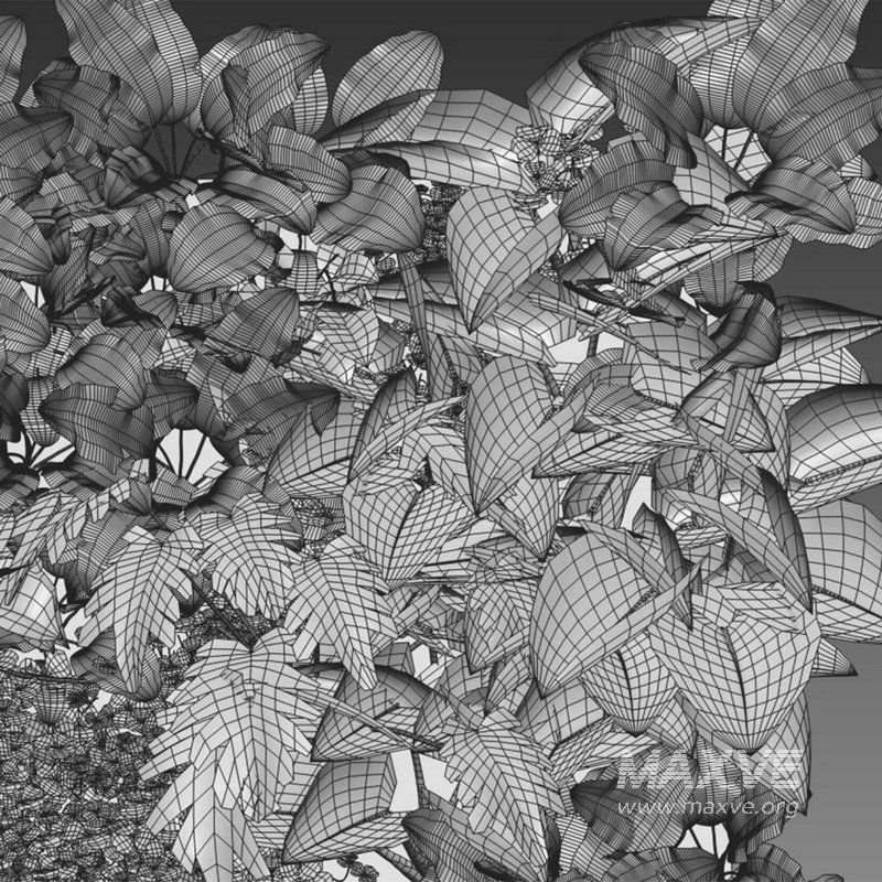 Vertical garden 21 - Image 2