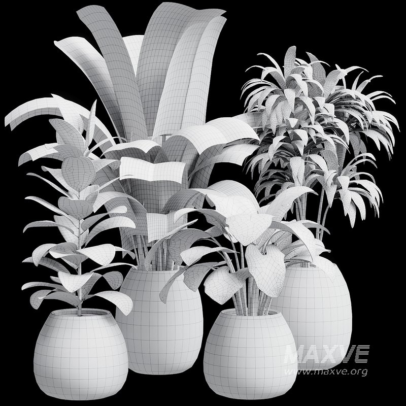 Indoor Plant 28 - Image 6