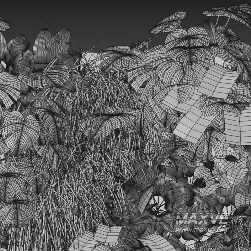 Vertical garden 09 - Image 2