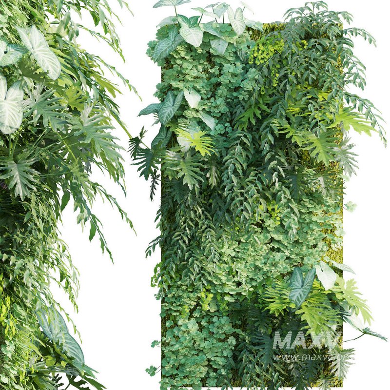 Vertical garden 20 - Image 1