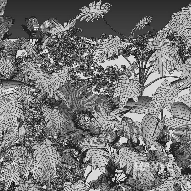 Vertical Garden 11 - Image 2