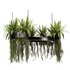 Indoorplants-Hanging plants set-84 - Thumbnail 1