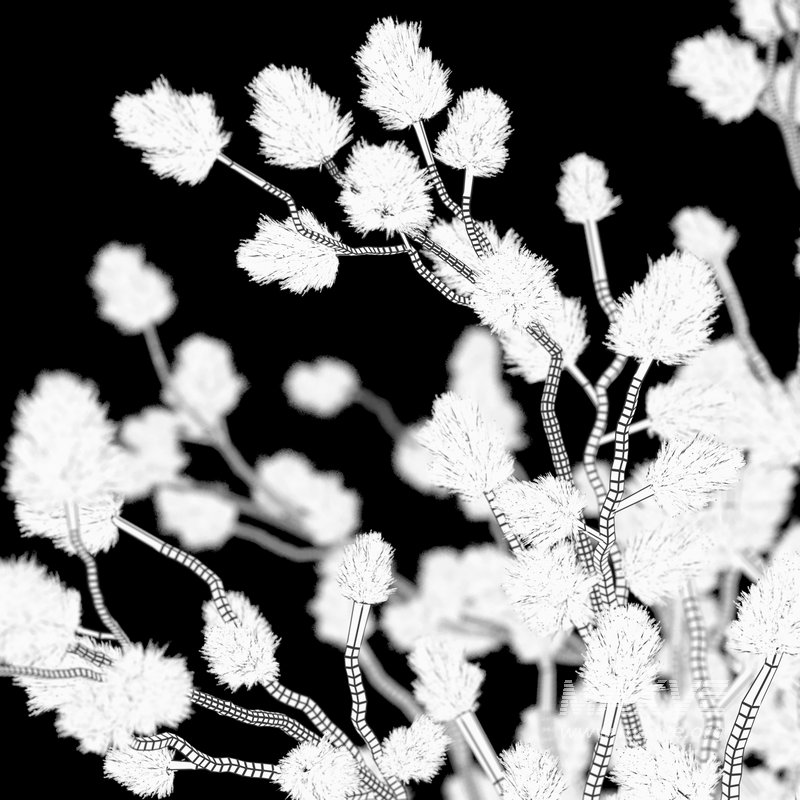 Tableware Decor set7 - Image 6