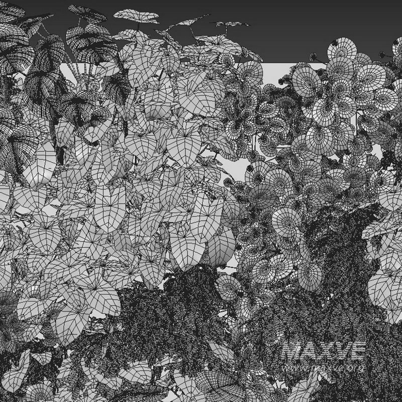 Vertical garden 07 - Image 2