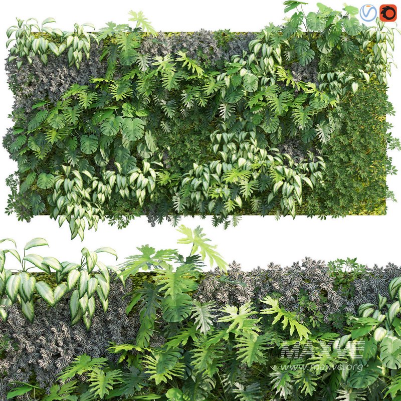 Vertical garden 08 - Image 1