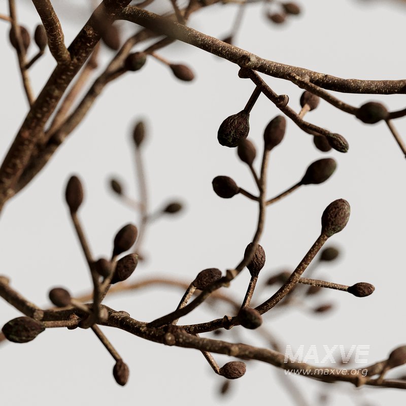 Tableware Decor set9 - Image 5