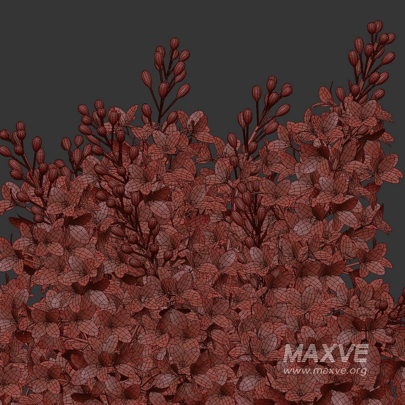 Elegant Pink White Lilac Flower in Glass Vases - Image 5