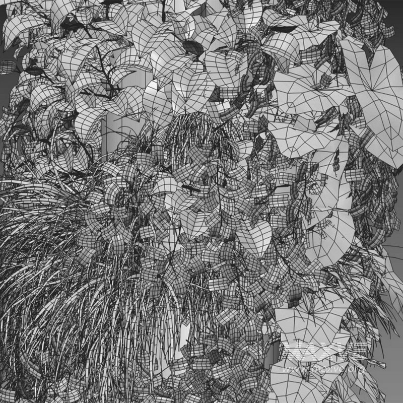 Vertical garden 24 - Image 2