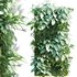 Vertical garden 17 - Thumbnail 1