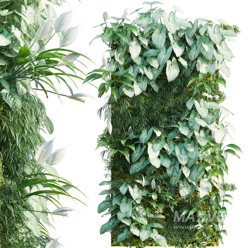 Vertical garden 17 - Image 1