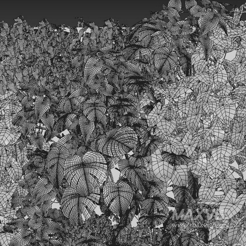 Vertical garden 06 - Image 2