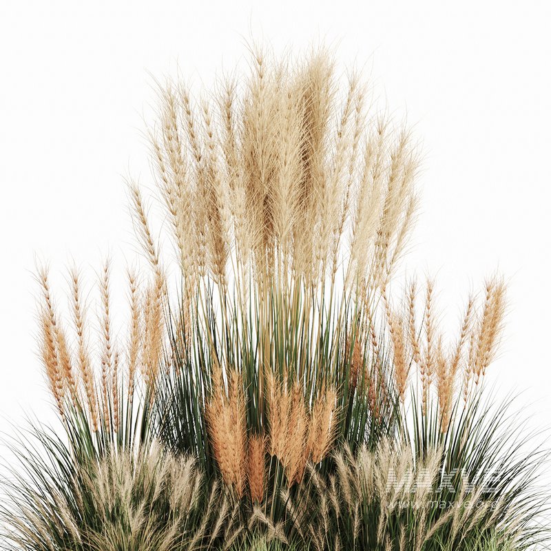 Bush-Bush set-09 - Image 2