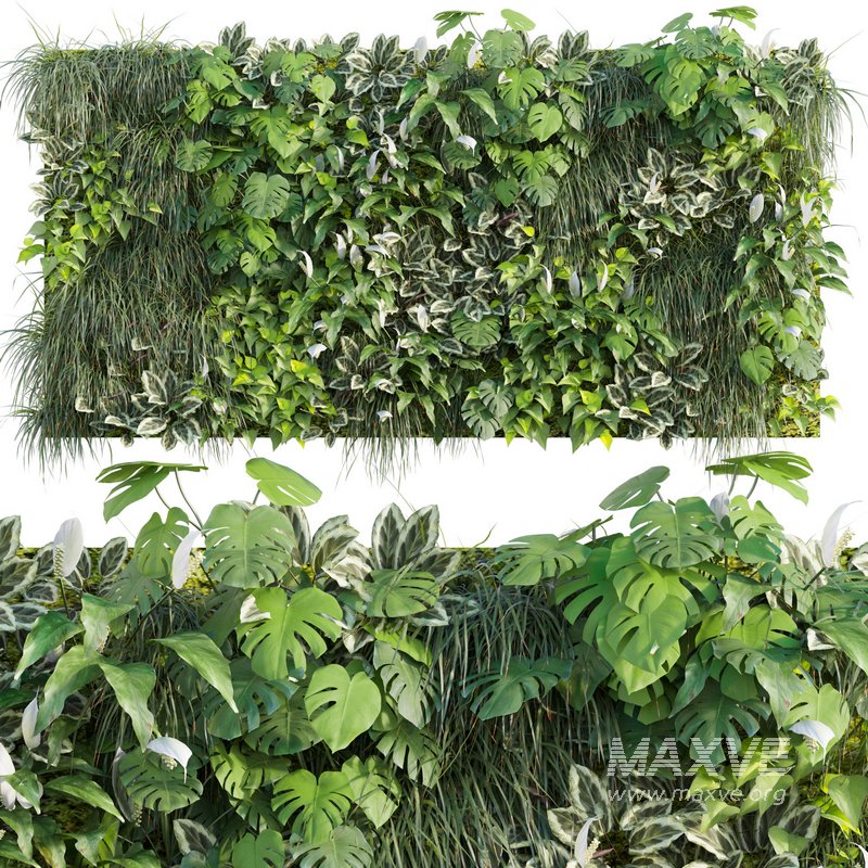 Vertical garden 09 - Image 1
