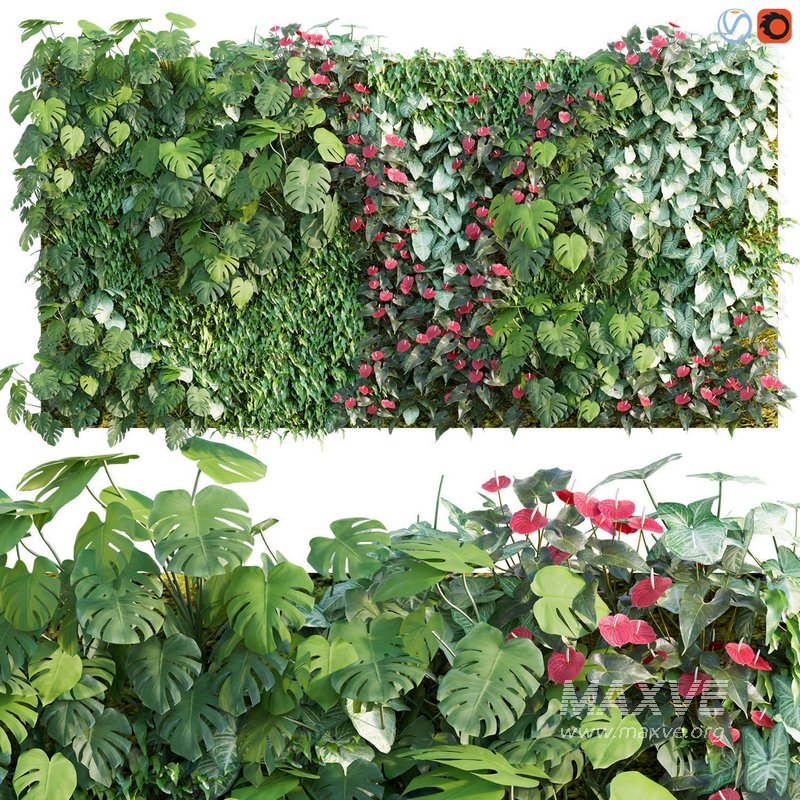 Vertical garden 06 - Image 1