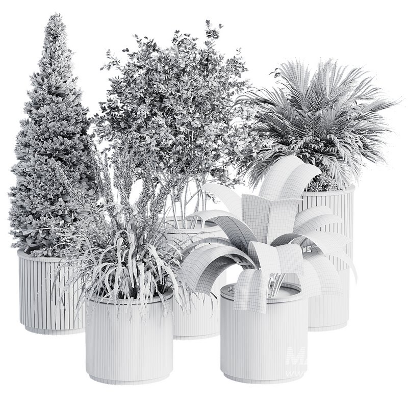 Outdoor Plant 36 - Image 3