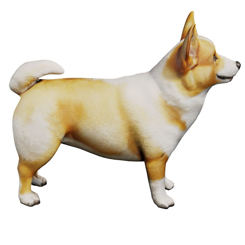 Corgi - Image 1