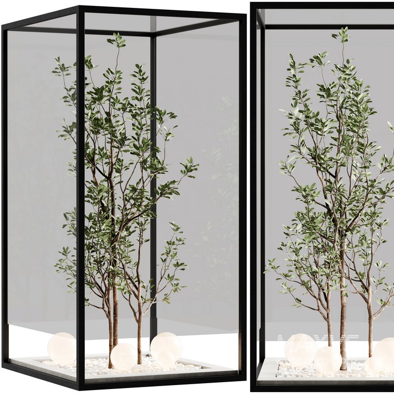 indoor plant set 32 - Image 1