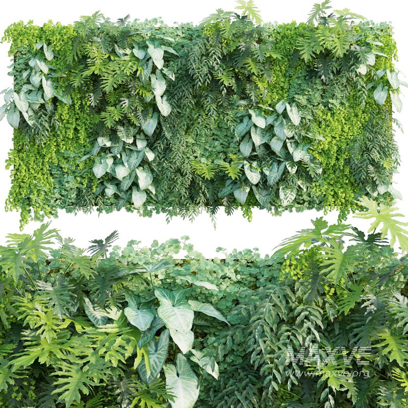 Vertical Garden 10 - Image 1
