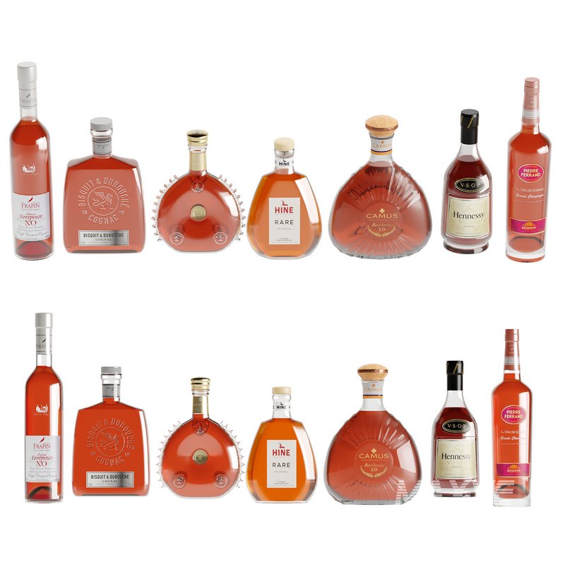 Bottles -40 Bottles:Gins,Rum,Congac - Image 5