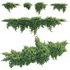 Juniperus procumbens – Garden Juniper 02 - Thumbnail 1