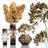 Set Bouquets pampas - Thumbnail 1