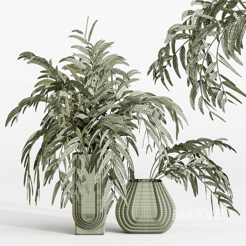 bouquets eucalyptus - Image 2