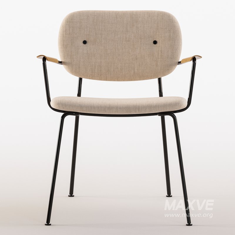 Co Lounge chair - Image 3