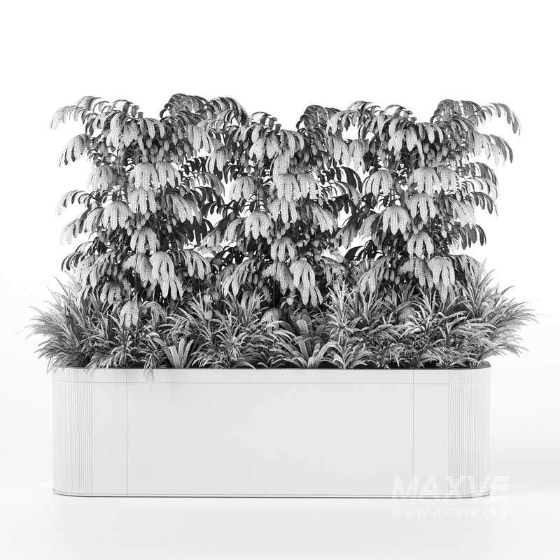 Plants In Box set-151 - Image 3