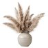 pampas grass in a vase - Thumbnail 1