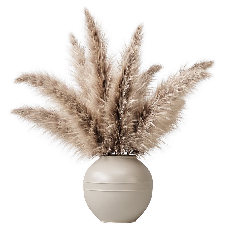 pampas grass in a vase - Image 1