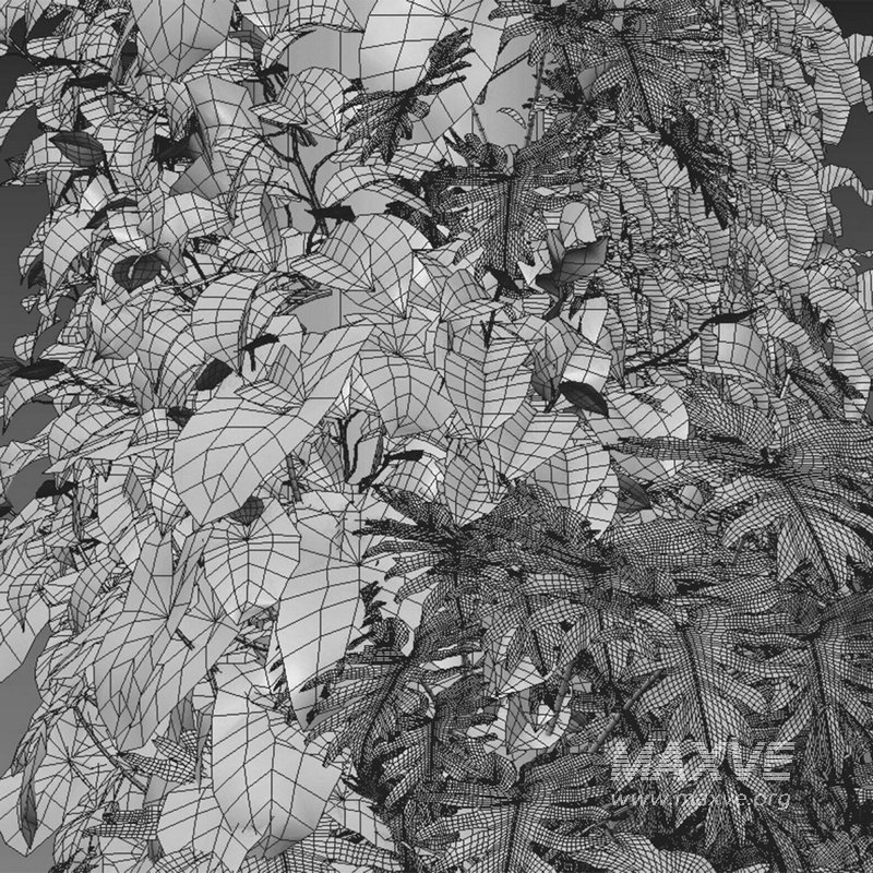 Vertical garden 27 - Image 2