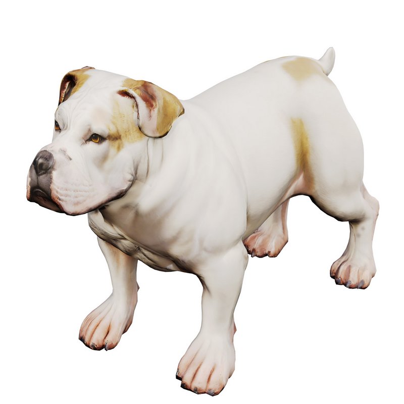 Bulldog - Image 6