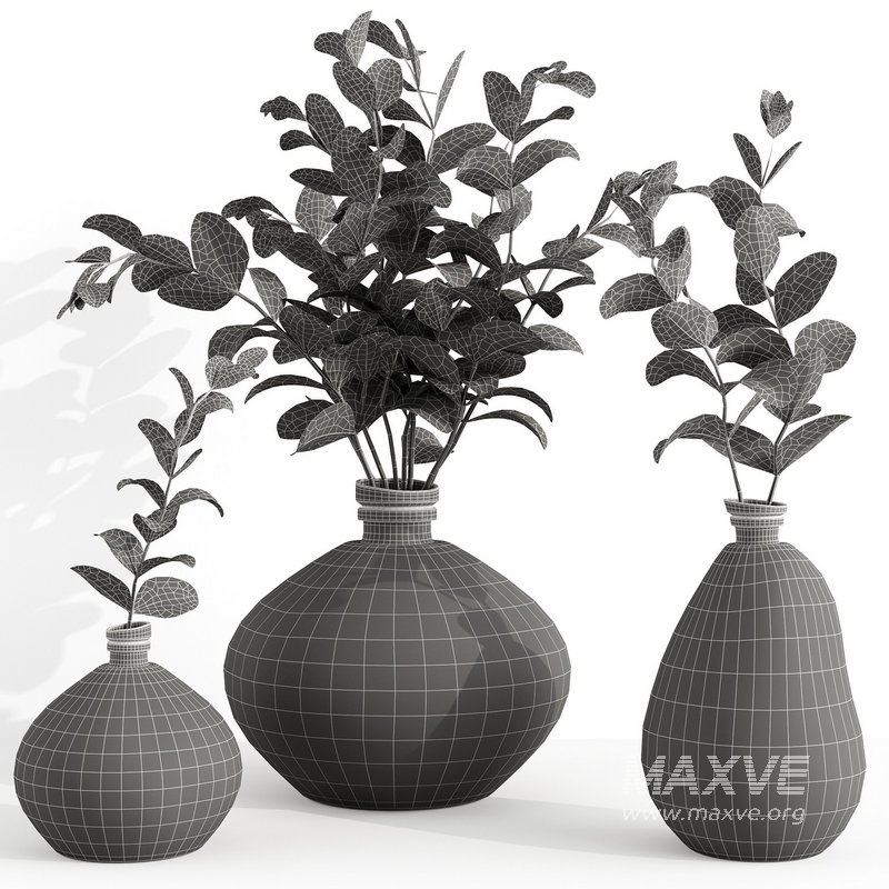 Set Bouquets eucalyptus - Image 4