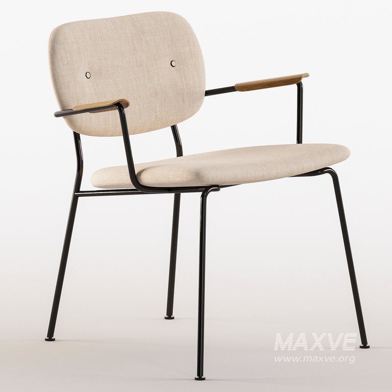 Co Lounge chair - Image 2