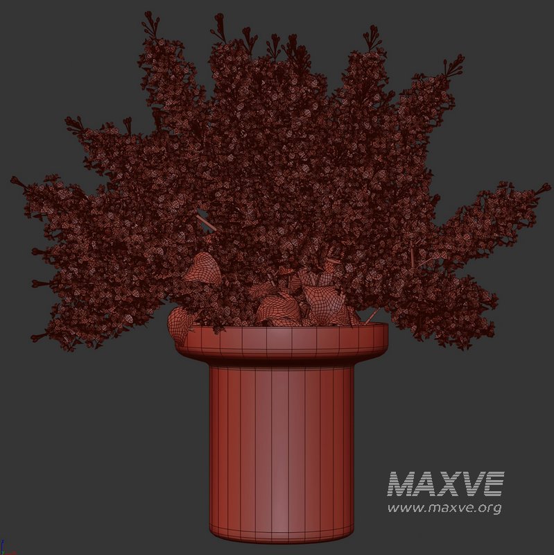 Bouquets 24 lilacs - Image 4