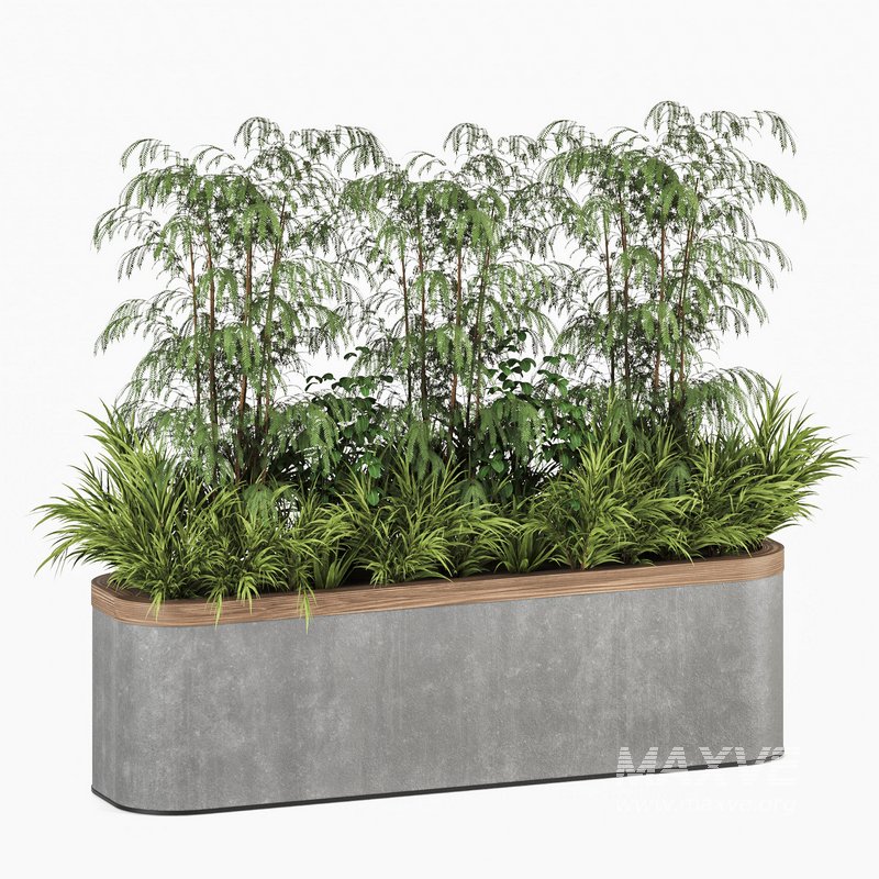 Plants In Box set-151 - Image 6