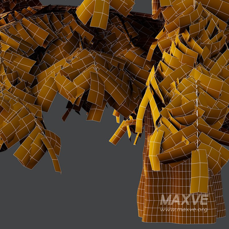 spruce tree10 - Image 3