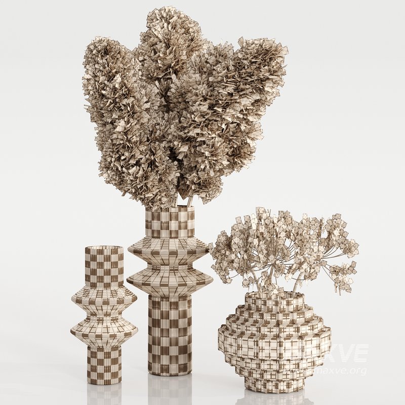 Set Bouquets pampas - Image 4