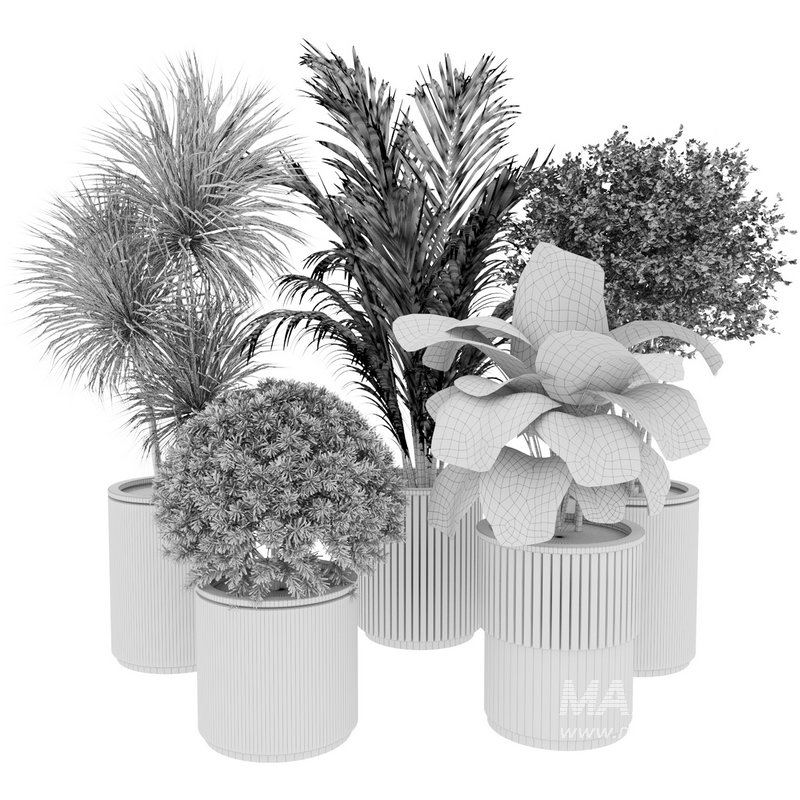 Outdoor Plant 35 - Image 5