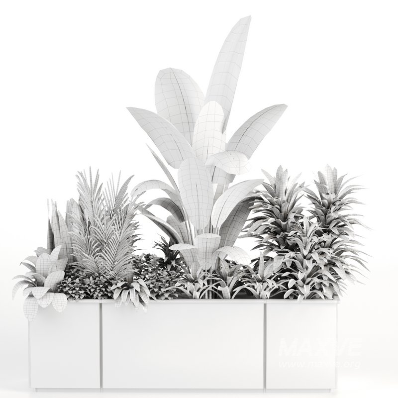 Indoorplants-Plants in Boxset150 - Image 5