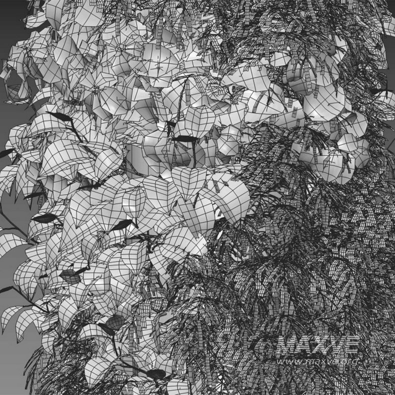 Vertical garden 26 - Image 2