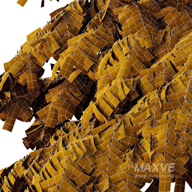 spruce tree11 - Image 2