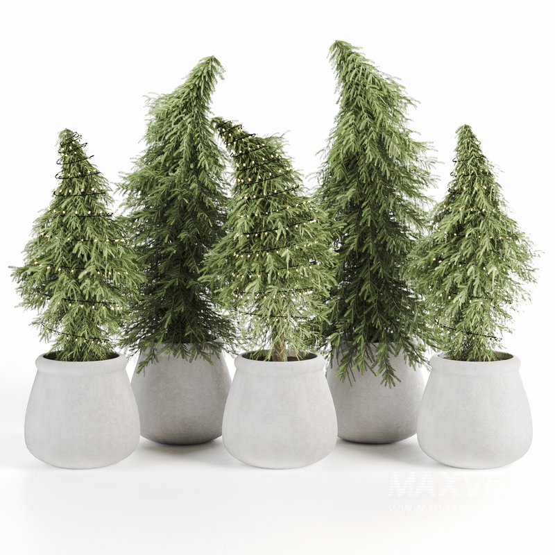 Christmas-trees-set06 - Image 1