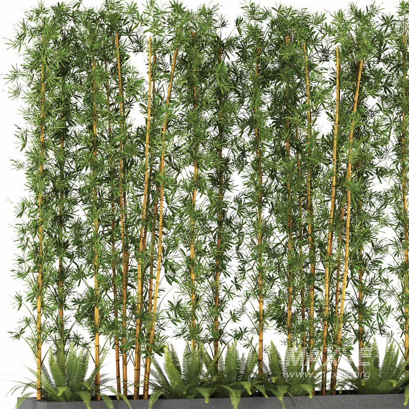 Plants In Box set-152 - Image 4