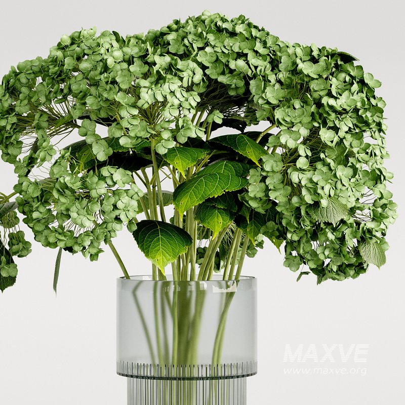 Set bouquet Hydrangea - Image 4