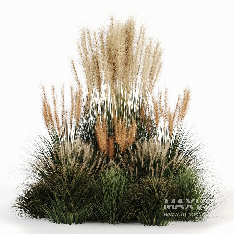 Bush-Bush set-09 - Image 1