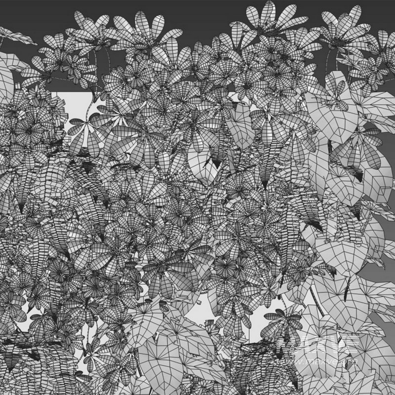 Vertical garden 16 - Image 2