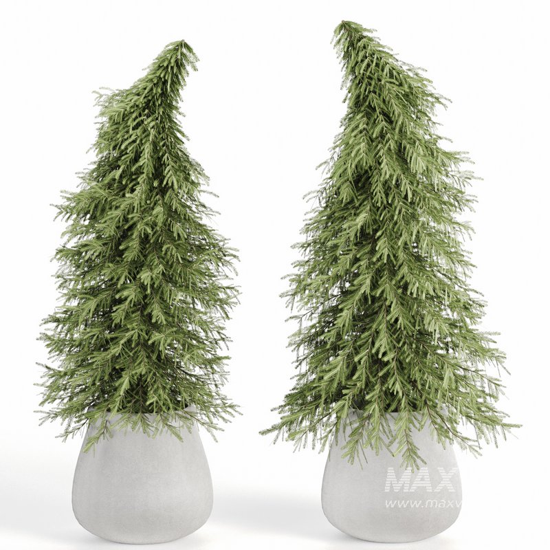 Christmas-trees-set06 - Image 2